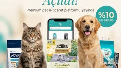 Petmona : Kedi Maması ve Köpek Maması İle Tüm Evcil Hayvan Ürünleri